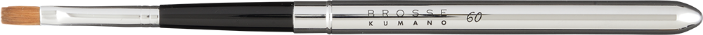 PRO60