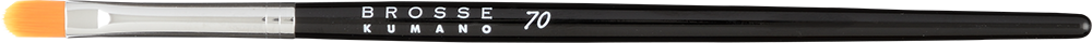 PRO70