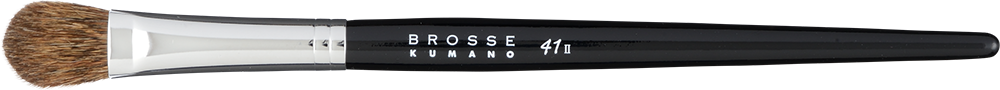PRO41II